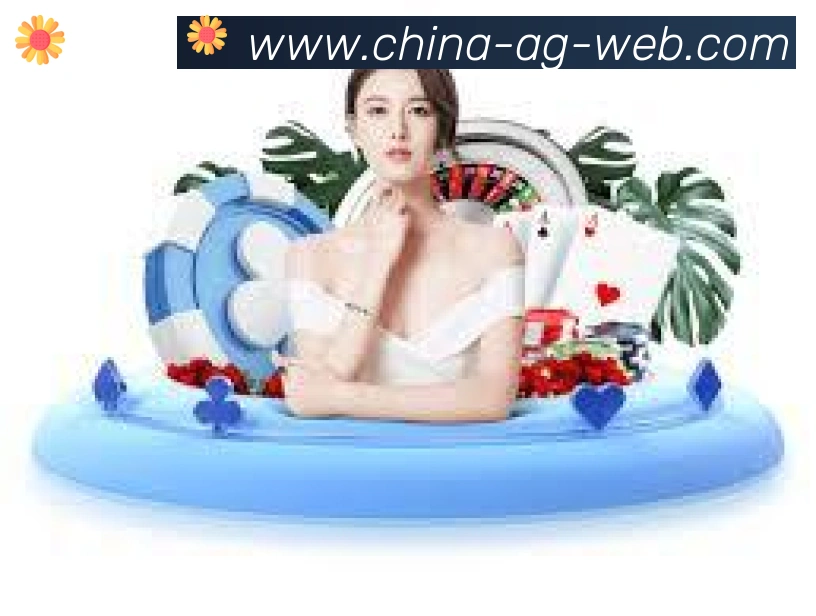 未来规划